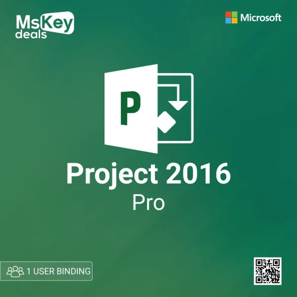 Microsoft Project pro 2016 1 user bind